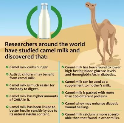 Harsha Nutrition Freeze Dried Camel Pro Milk Powder (1000 g) by Marbella - Image 6